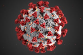 South African variant of the coronavirus – update for Providers